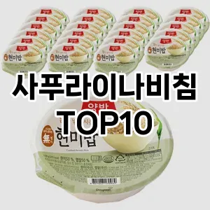 사푸라이나비침 추천 순위 TOP10 구매가이드 12월 5주차