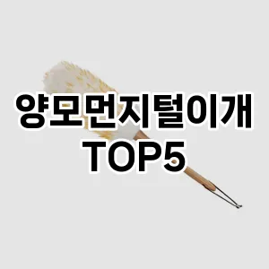 [대박할인] 양모먼지털이개 추천 순위 TOP5 구매가이드