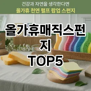 [진짜리뷰] 올가휴매직스펀지 추천 순위 TOP5 구매가이드