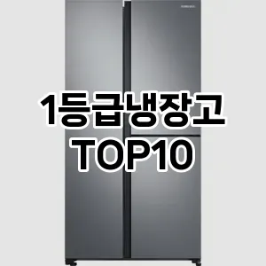 1등급냉장고 추천 순위  TOP10 구매가이드 2024년 2월 2주차