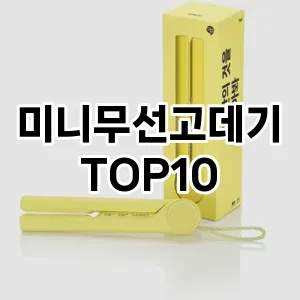 미니무선고데기 추천 순위  TOP10 구매가이드 2024년 3월 5주차 최고의 선택을 위한 완전한 안내서