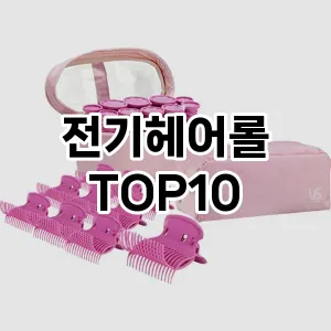 전기헤어롤 추천 순위  TOP10 구매가이드 2024년 3월 5주차 (가격 장단점)