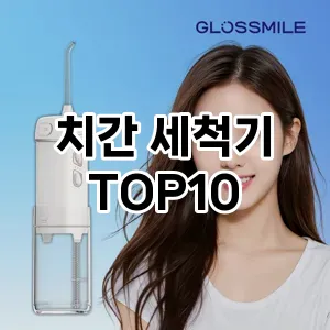 [할인추천] 치간 세척기 추천 순위  TOP10 구매가이드 2024년 5월1주차