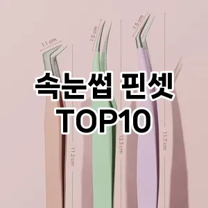 속눈썹 핀셋 추천 순위  TOP10 구매가이드 제품 | 후기 2024년 6월3주차