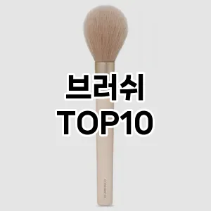 브러쉬 추천 순위  TOP10 구매가이드 2024년 | BEST상품 | 가격 비교