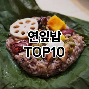 연잎밥 추천 순위 TOP10 구매가이드 비교 2024년 8월3주차