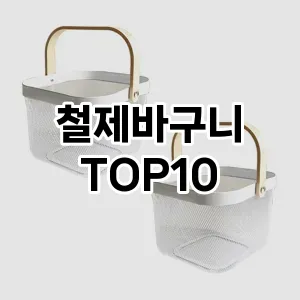 철제바구니 추천 순위 TOP10 구매가이드 2024년 7월4주차