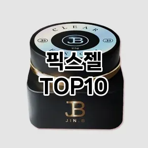 픽스젤 추천 순위  TOP10 구매가이드 2024년 11월 3주차