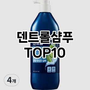 덴트롤샴푸 추천 순위  TOP10 구매가이드 2024년 12월 1주차