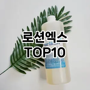 리얼리뷰로션엑스 추천 순위 TOP10 구매가이드 2025년 2월 4주차